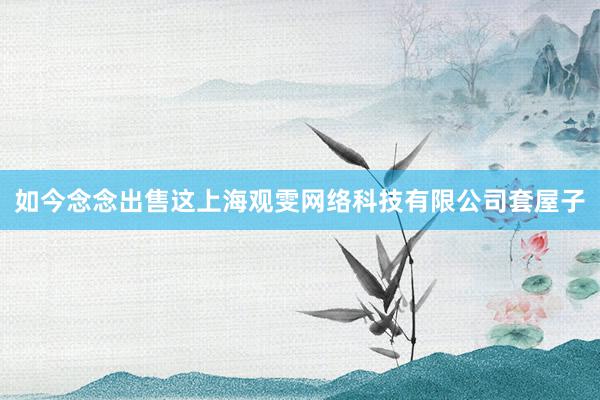 如今念念出售这上海观雯网络科技有限公司套屋子