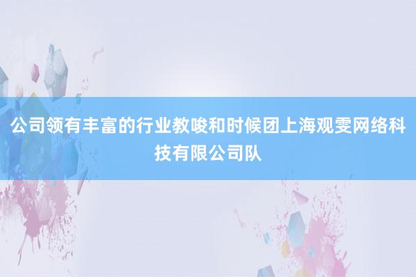 公司领有丰富的行业教唆和时候团上海观雯网络科技有限公司队